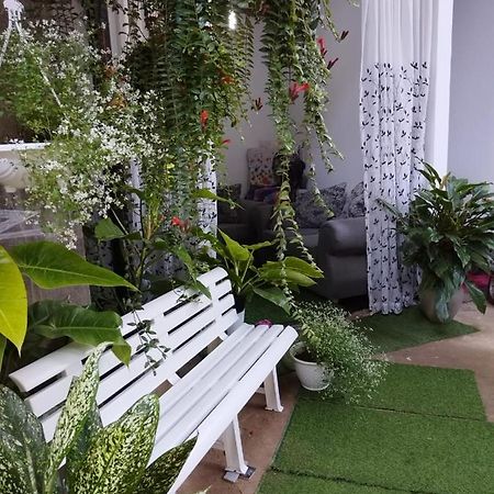 Ella Way Resort Peradeniya Luaran gambar