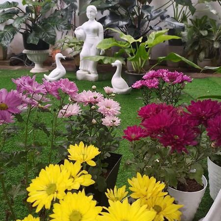 Ella Way Resort Peradeniya Luaran gambar